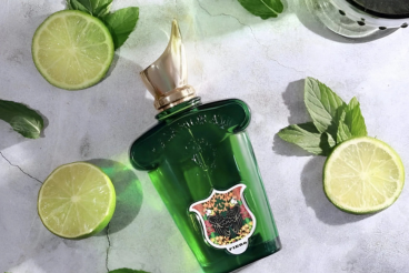 Bergamota de Calabria: El Cítrico Preferido en Perfumes Nicho