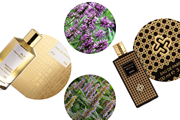 perfumes nicho para marcar la difencia