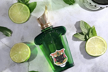 Colognisé de Nishane y This Is Not A Blue Bottle 1.5 de Histoires de Parfums para el verano