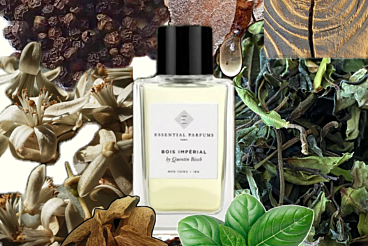 Experiencia olfativa