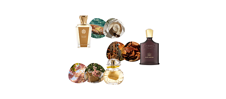 perfumes nicho para marcar la difencia