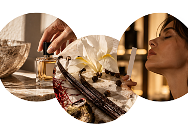 perfumes nicho para marcar la difencia