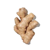 Jengibre image content