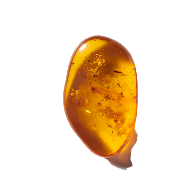 Ambar image content