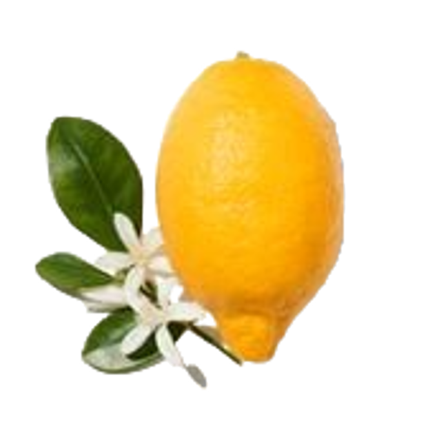 Bergamota Calabresa>