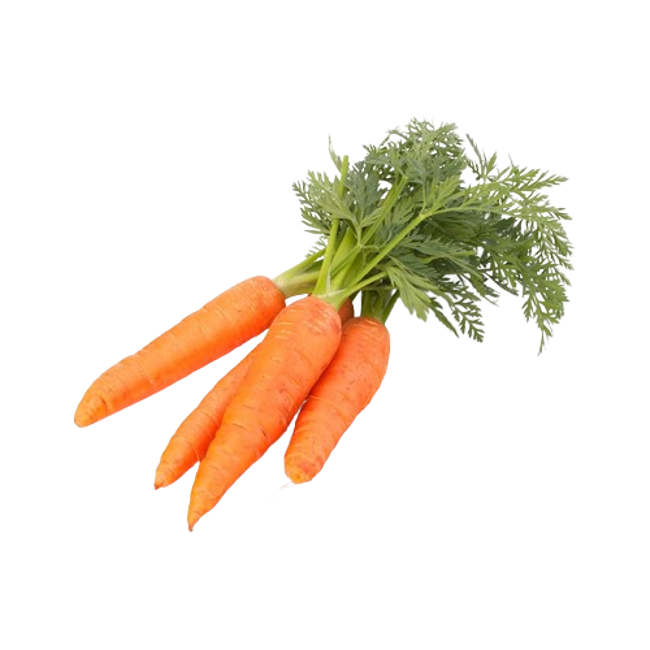 Hojas de zanahoria>