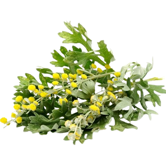 Ajenjo>