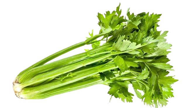 Apio>