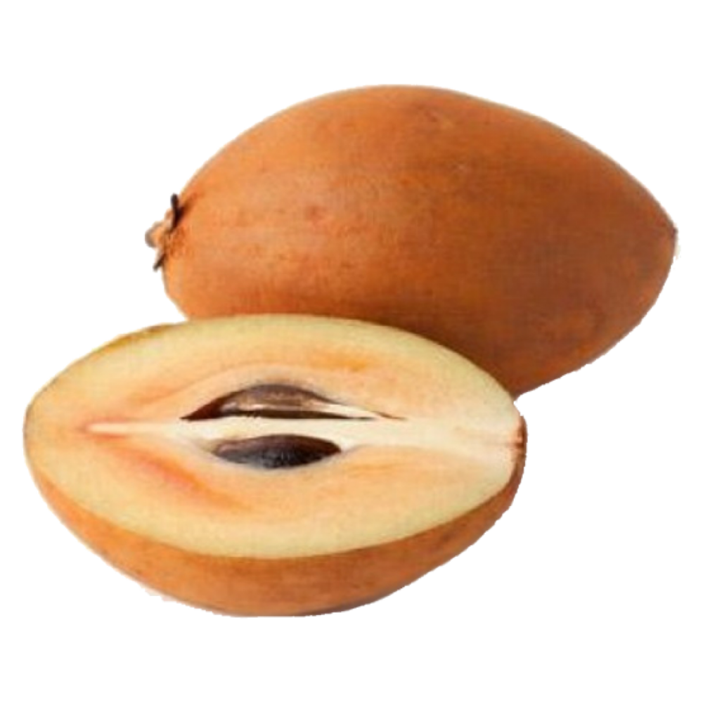 Sapodilla>