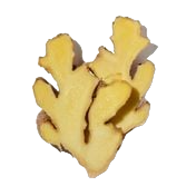 Hoja de jengibre>