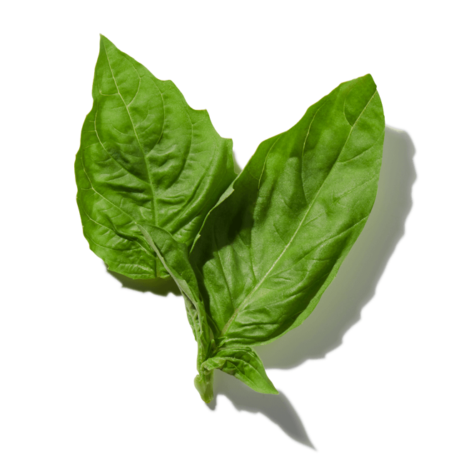 Verduras de hoja verde>