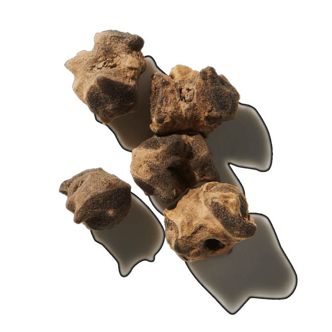 Semillas de almizcle>