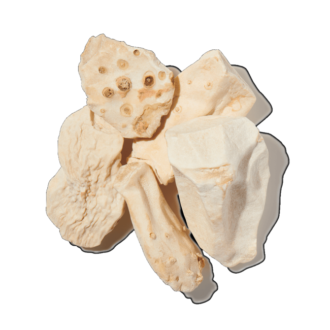 Mantequilla de lirio>