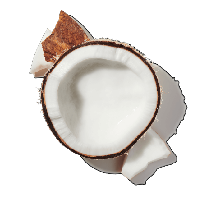 Agua de coco tropical>