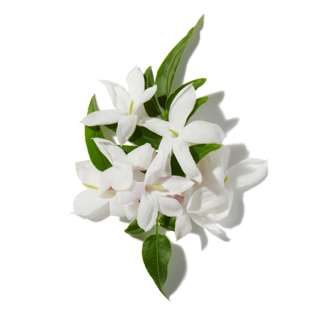 Aceite de neroli image content