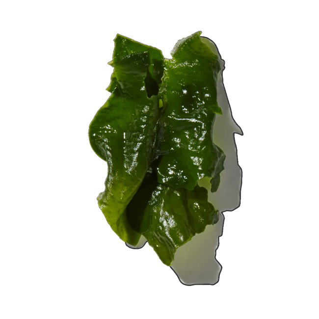 Acuerdo Verde Mar image content