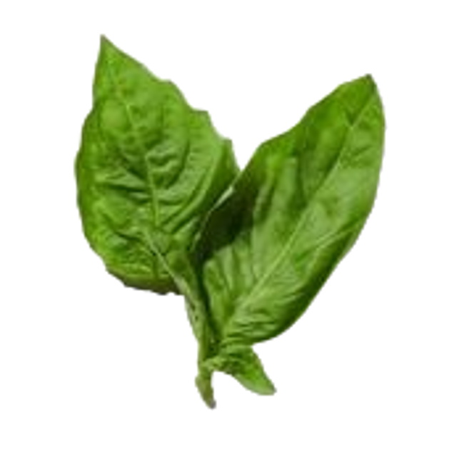Albahaca image content