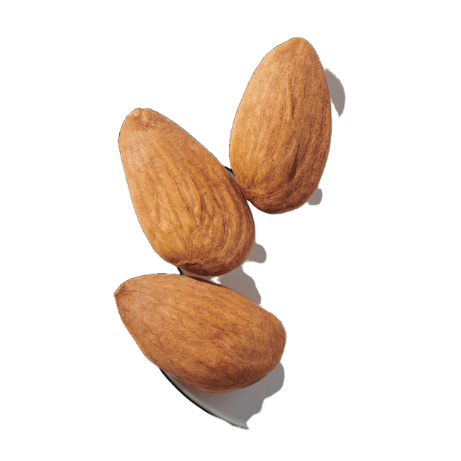 Almendra dulce image content