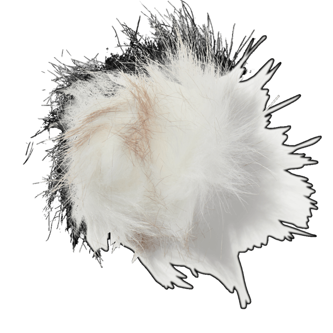 Almizcle blanco image content