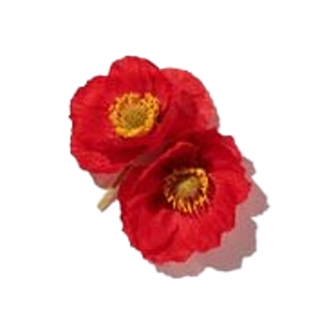 Amapola de california image content
