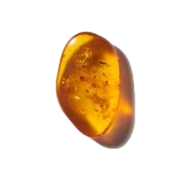 Ambar image content
