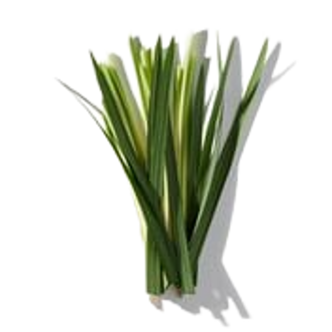 Ambery vetiver image content