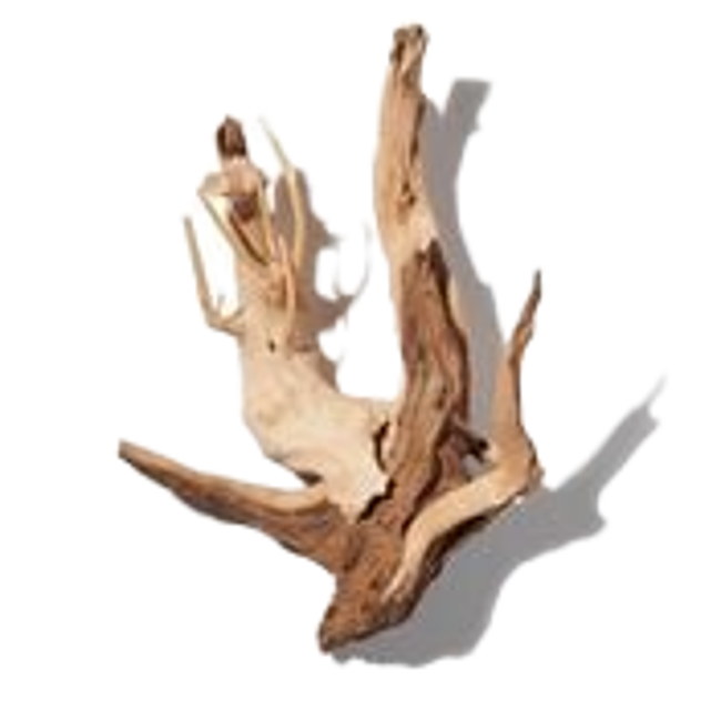 Ambramona image content
