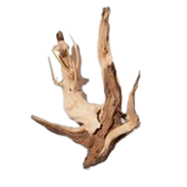 Ambramona.png