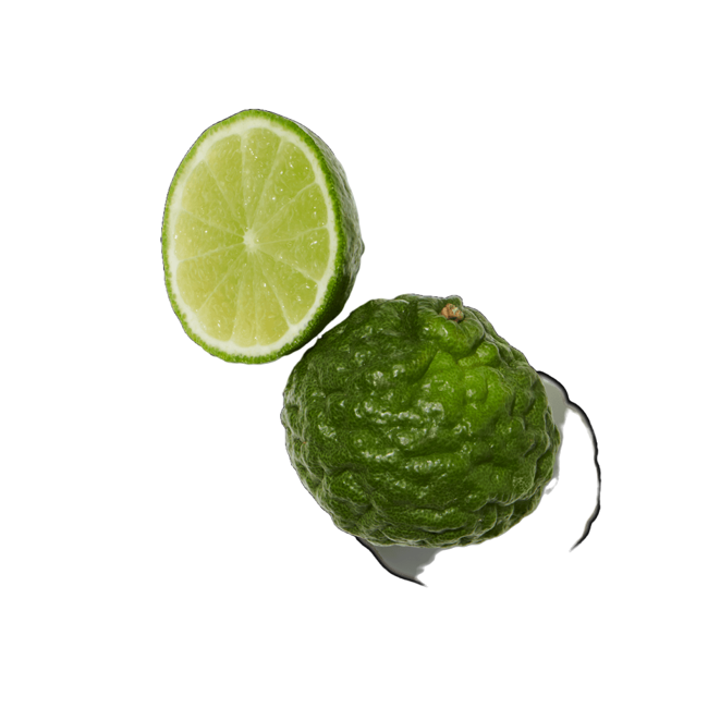 Bergamota siciliana image content