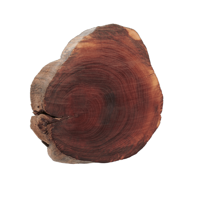 Caoba image content