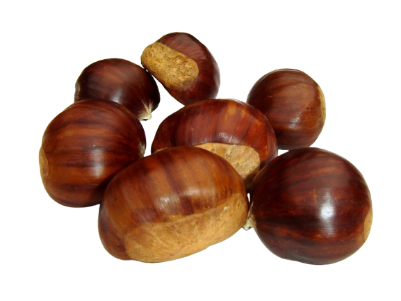 Castana.png