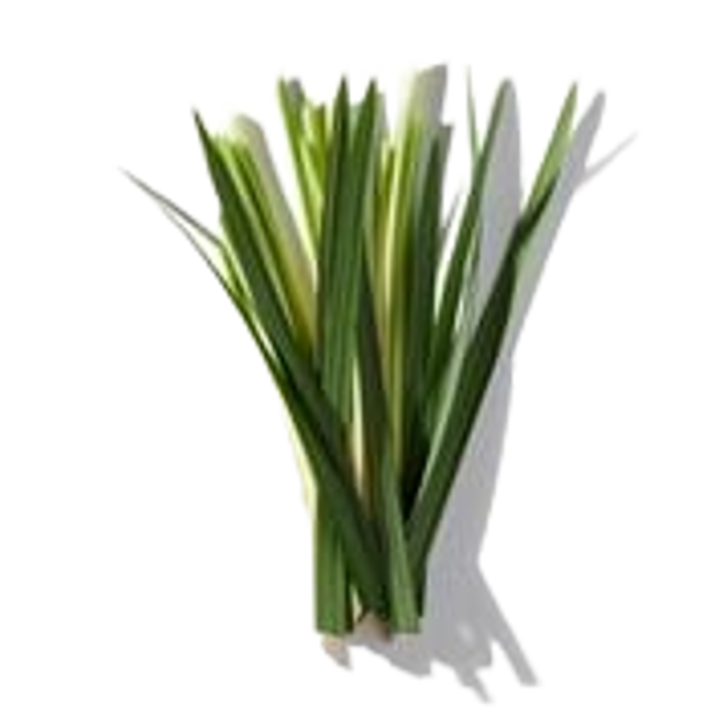Cesped image content