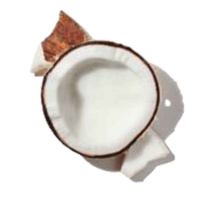 Coco image content