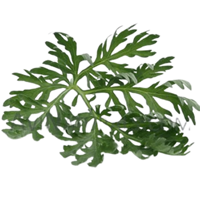 Davana.png