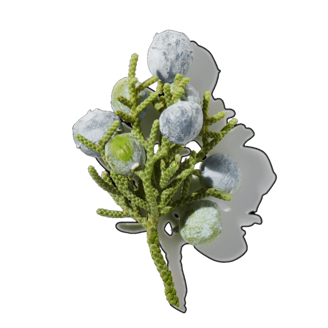 Enebro image content