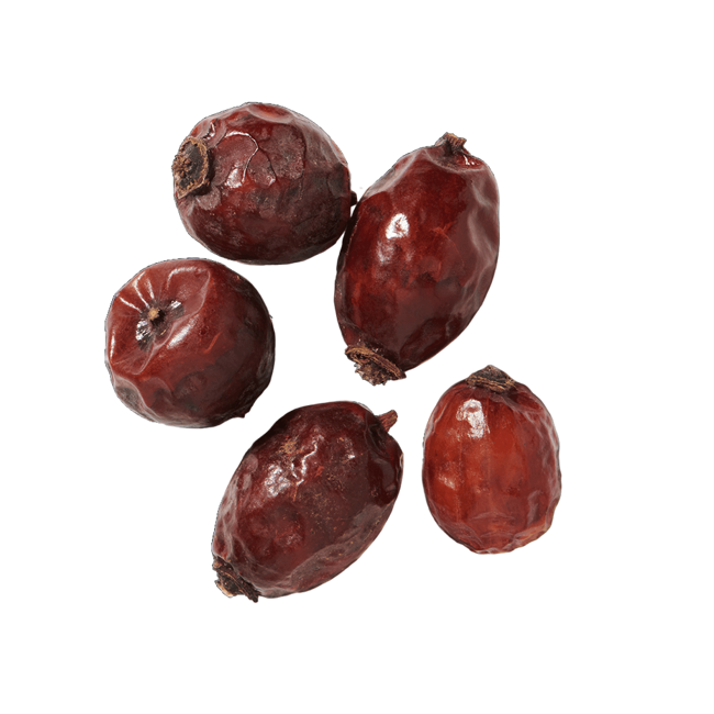 Escaramujo image content