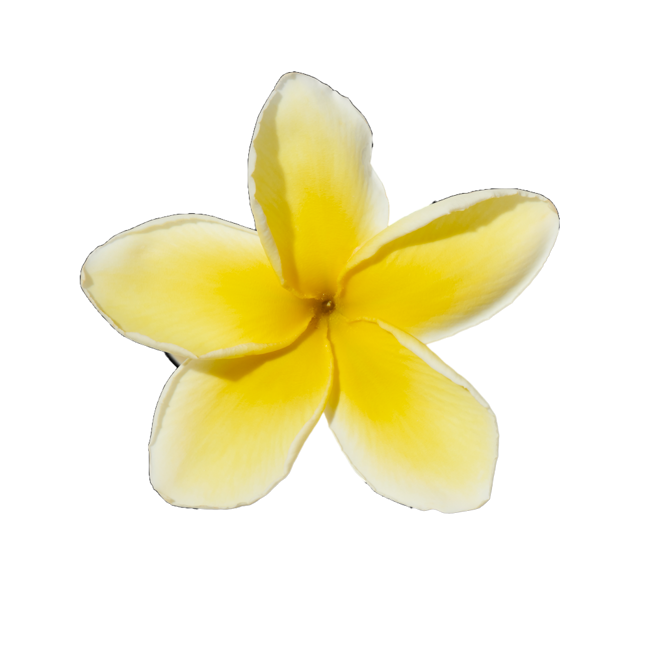 Flor de tiare image content