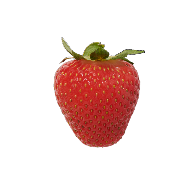 Fresa image content