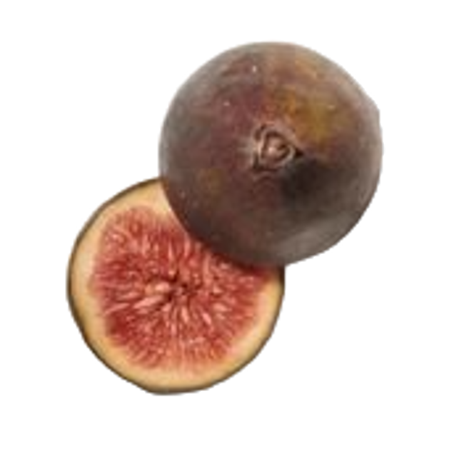 Hoja de higo image content