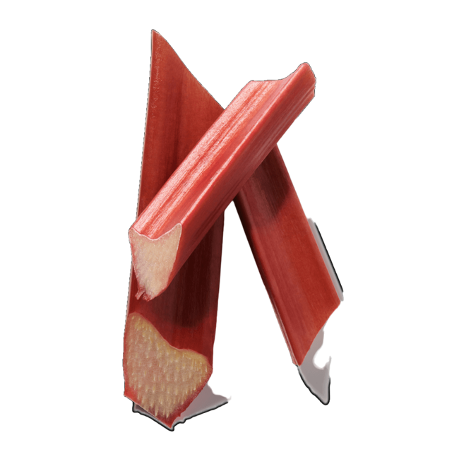 Hojas de ruibarbo image content
