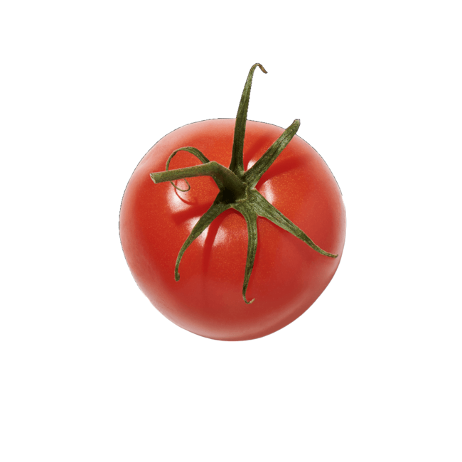 Hojas de tomate image content