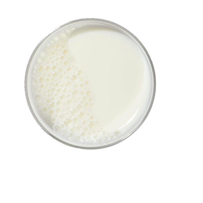 Leche image content