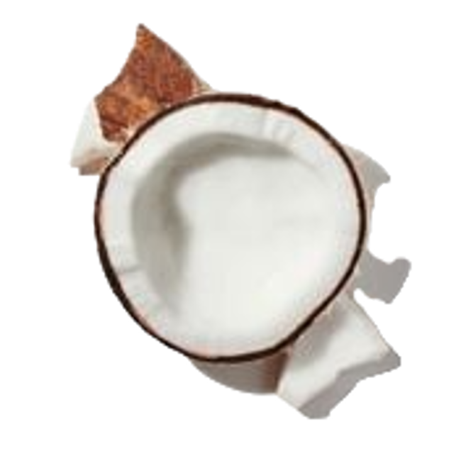 Leche de coco image content