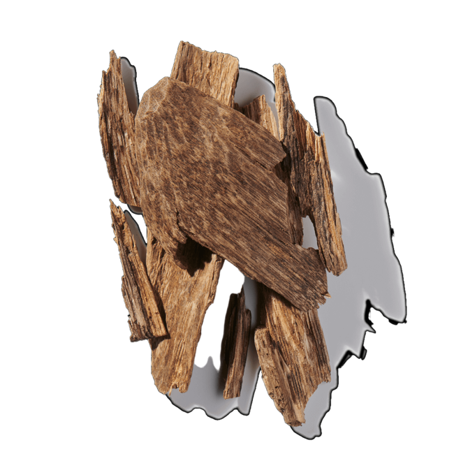 Lenoso image content