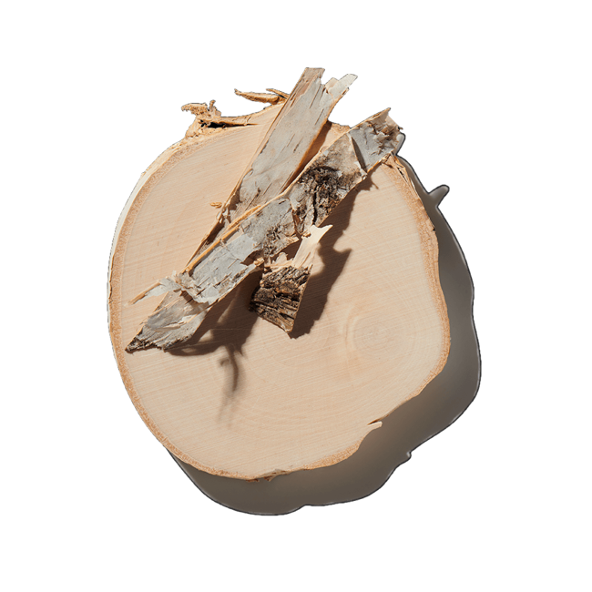 Madera Hinoki image content