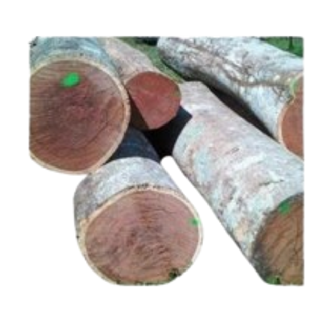 Madera-cabreuva.png