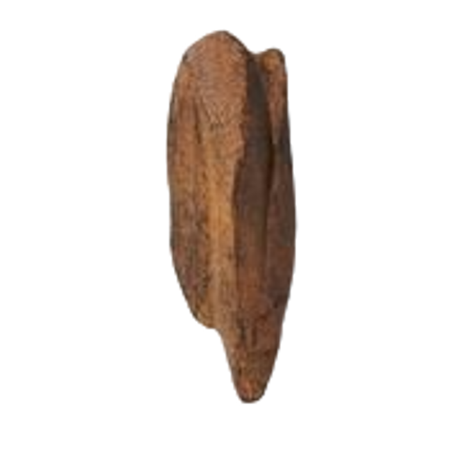 Madera de agar (Oud) image content