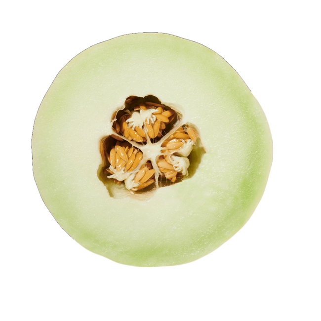 Melon dulce image content