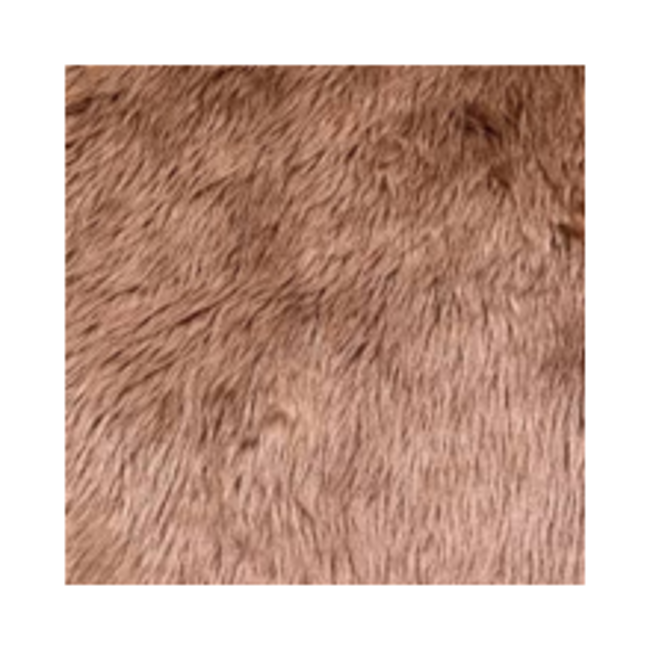 Notas-de-animal.png