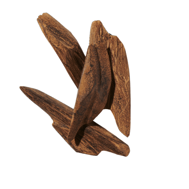 Oud image content